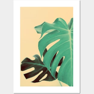 Monstera Minimalist Posters and Art